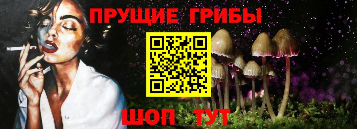 Губкин  Галлюциногенные грибы GOLDEN TEACHER  Вход с VPN 