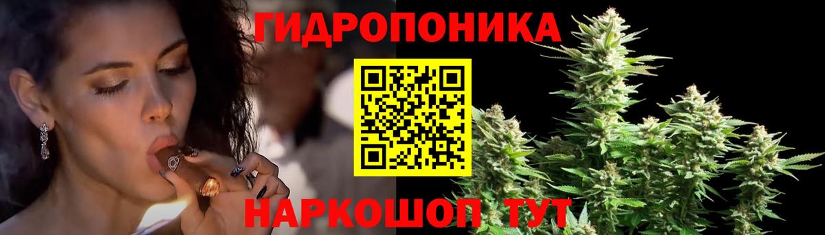 Бошки Шишки марихуана  Вход с VPN  Бошки Шишки сатива  Губкин  Марихуана планчик  Марихуана сатива 